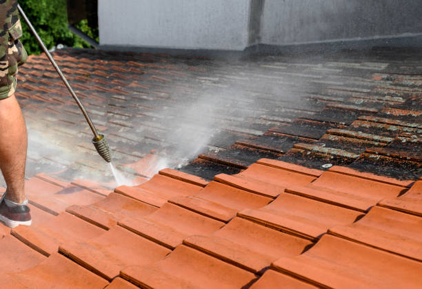 Best House Pressure Washing  in Oak Hills Pce, LA